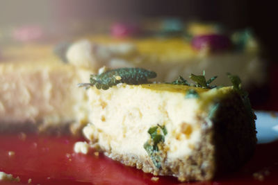 Close-up of food in plate