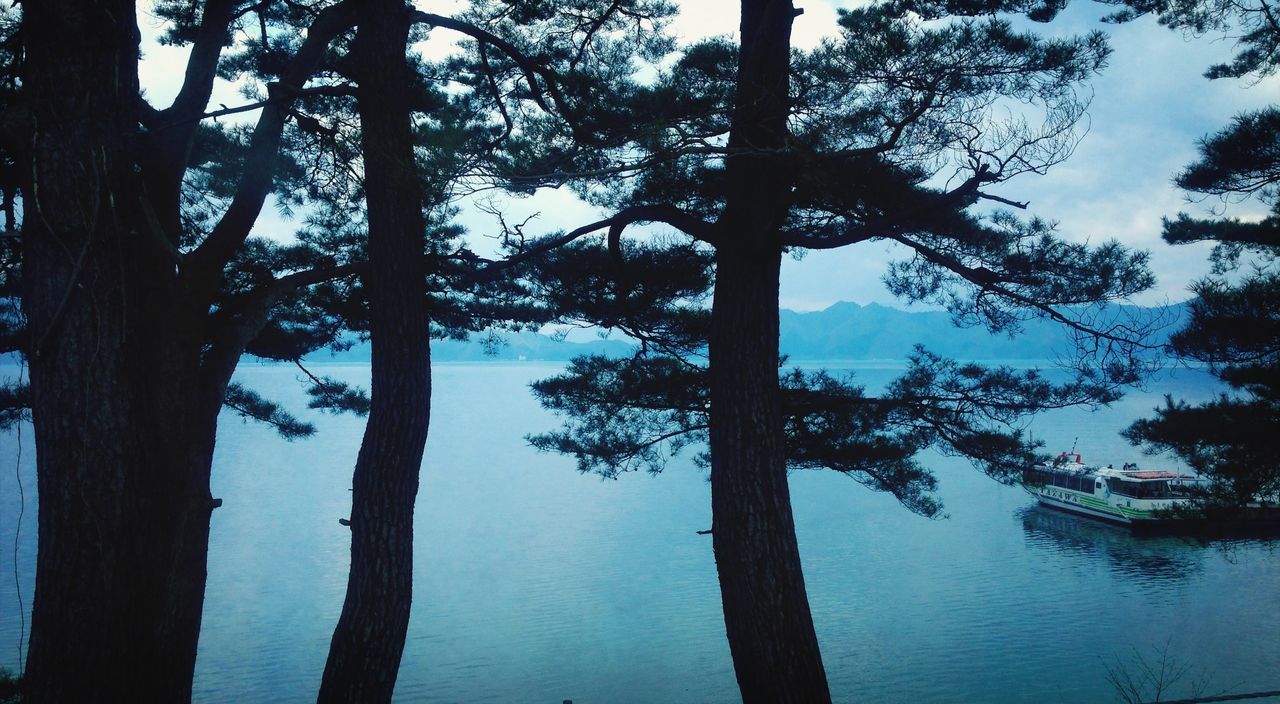 tree, water, tranquility, tree trunk, tranquil scene, scenics, silhouette, beauty in nature, lake, nature, reflection, sky, branch, growth, idyllic, waterfront, outdoors, calm, no people, non-urban scene