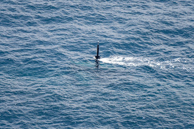 High angle view of horse in sea