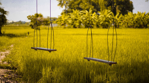 Empty swings over grassy field against trees