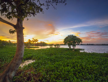 Scenic view of sea against sky during sunset