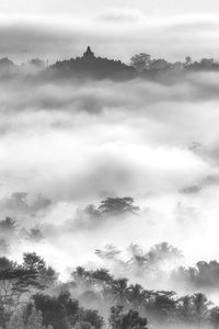 Low angle view of silhouette trees against sky