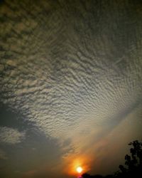 Scenic view of sunset