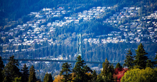 High angle view of trees and cityscape in city