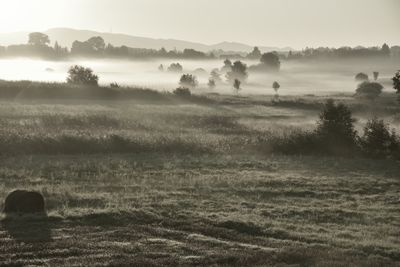 Scenic view of field against cloudy sky