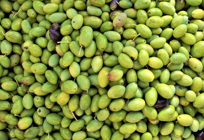 Full frame shot of fruits for sale at market stall