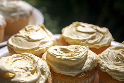 Close-up of cupcakes in plate