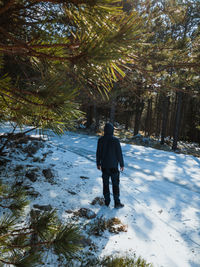 Rear view of man standing on snow covered land