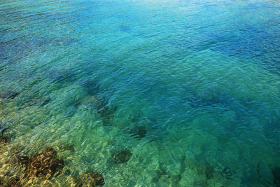 High angle view of sea shore