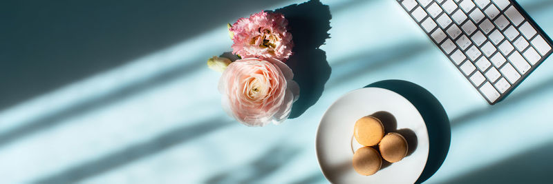 Blue background with flowers, color macaroons and keyboard in sunlight.