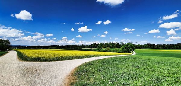 Scenic view of field against sky