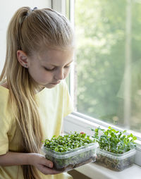 A little girl at the window watches how microgreen grow