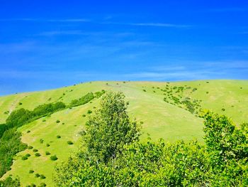 Scenic view of landscape against blue sky