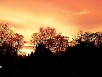 Silhouette trees against dramatic sky during sunset