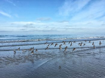Scenic view of sea against cloudy sky