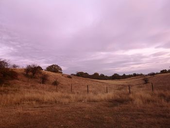 Scenic view of field against sky during sunset