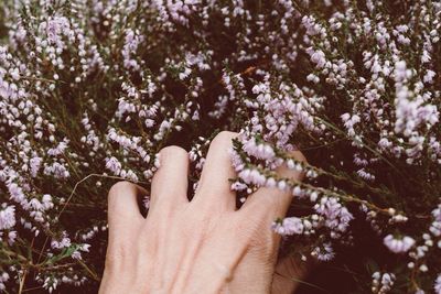 Woman hand with flowers
