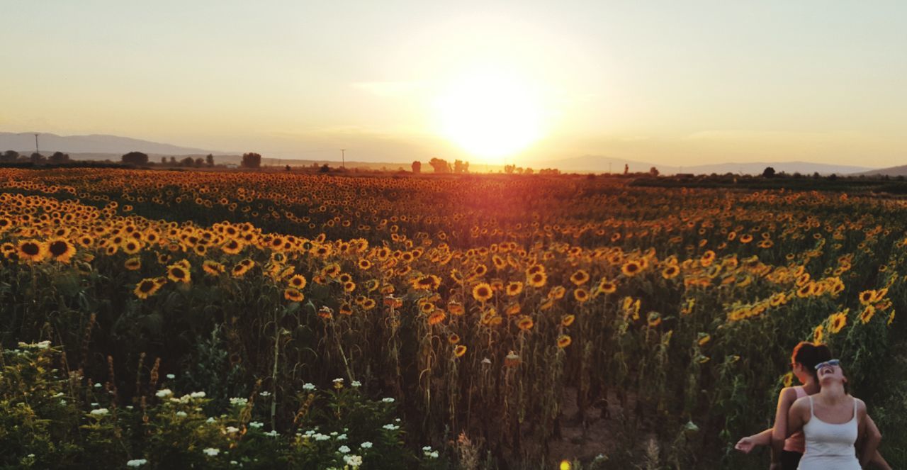 sunset, real people, nature, field, beauty in nature, growth, agriculture, two people, plant, togetherness, sun, leisure activity, lifestyles, outdoors, sunlight, scenics, flower, landscape, men, standing, women, sky, bonding, day, mammal, people