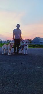 Rear view of people with dog against sky during sunset