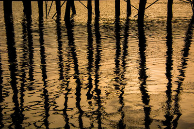 Reflection of silhouette trees on wet beach during sunset