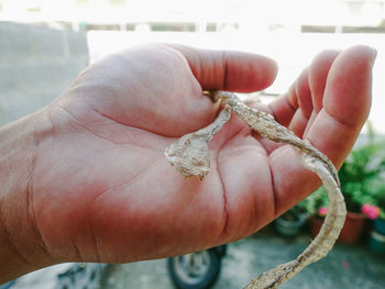 Close-up of person holding hand