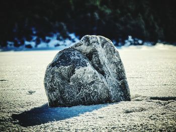 rock