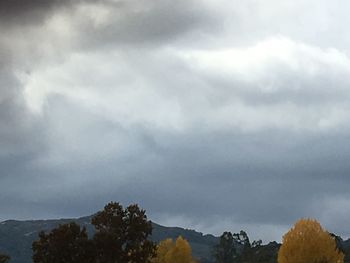 Low angle view of trees and mountain against sky