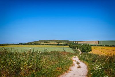 Scenic view of field against clear blue sky