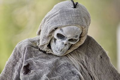 Close-up of human skull