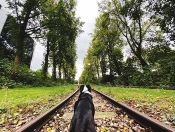 View of railroad tracks