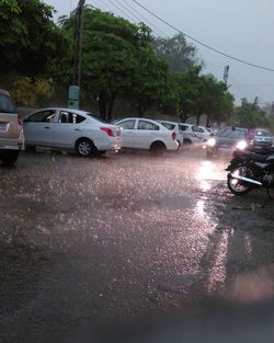 Traffic on road