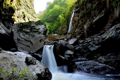 View of waterfall in forest