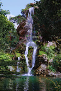 Scenic view of waterfall in forest