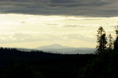 Silhouette trees in forest against sky