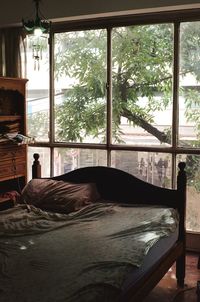 Trees seen through window at home