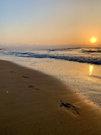 Scenic view of beach during sunset