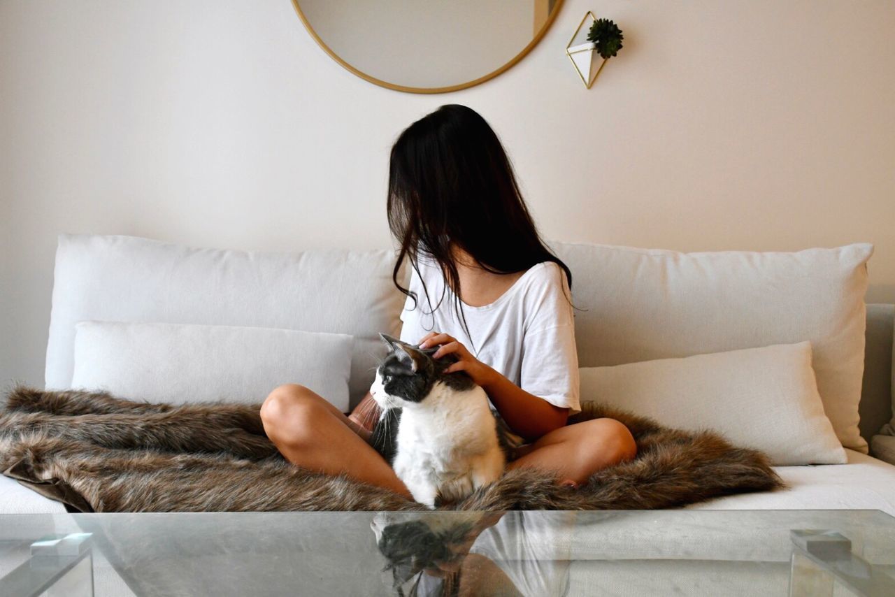 domestic, mammal, pets, domestic animals, one person, furniture, sofa, real people, one animal, indoors, vertebrate, lifestyles, women, home interior, leisure activity, cat, relaxation, domestic cat, hairstyle, pet owner