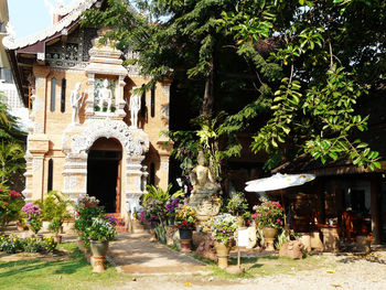 Trees in front of building