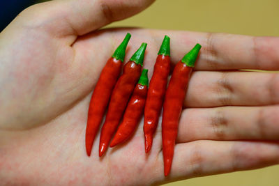 Close-up of hand holding red chili