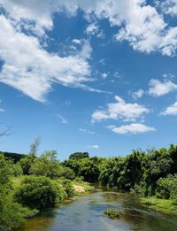 River amidst trees against sky