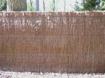 Close-up of wooden fence on field during winter