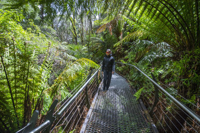 Rear view of man on footbridge in forest