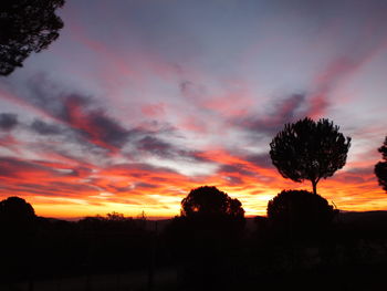 Silhouette trees against sky during sunset