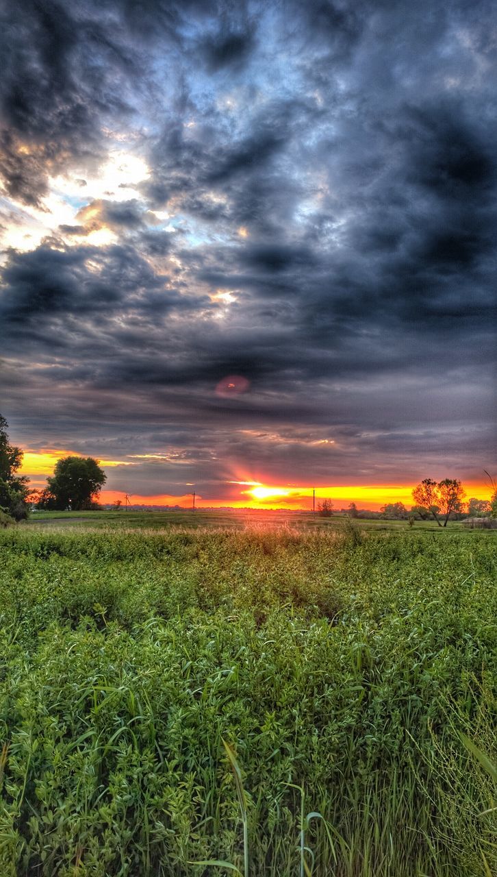 sky, sunset, cloud - sky, tranquil scene, field, landscape, beauty in nature, scenics, tranquility, cloudy, nature, grass, growth, cloud, idyllic, orange color, rural scene, agriculture, weather, dramatic sky