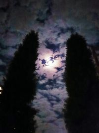 Low angle view of silhouette trees against sky at night