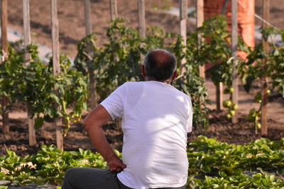 Plants and animals farmer