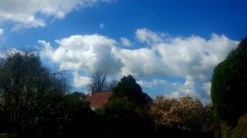 Low angle view of trees against cloudy sky