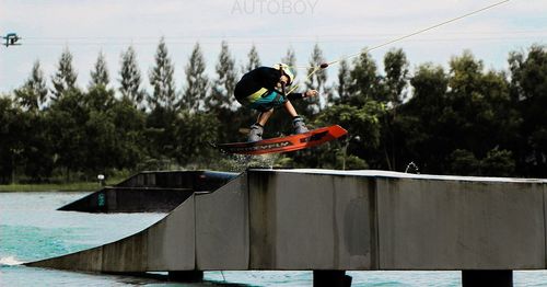 Rear view of boy jumping against plants