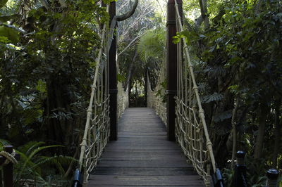 Footbridge amidst trees in forest