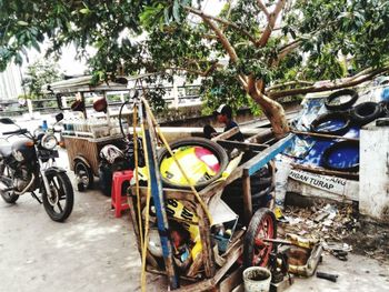 Bicycles parked by tree